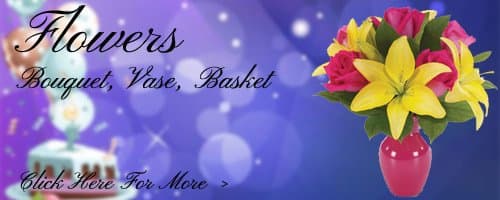 Birthday Flowers to Aurangabad