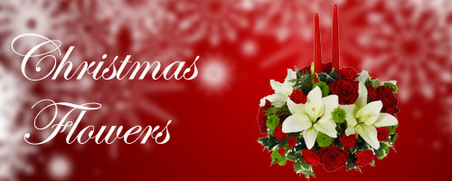 Christmas Flowers to Aurangabad