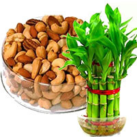 Send Online Gifts to India