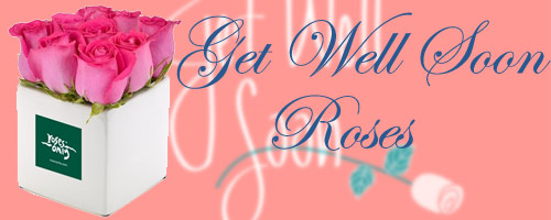 Get Well Soon Roses to India