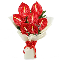 Send Flowers to India