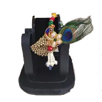 Bhabhi Rakhi to India