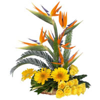 Best Flower Delivery India