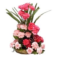 Best Flowers in India