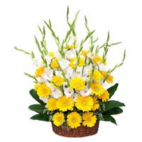 Send Flowers to India : Gerbera Glad Arrangement