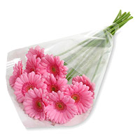 Flowers in India Same Day Delivery