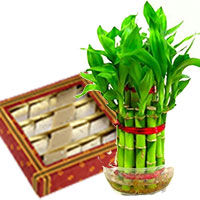 Online Gifts to India