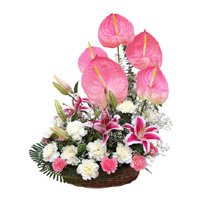 Online Flower Delivery in India - Anthurium Basket