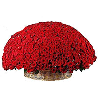 Valentine's Day Flowers to India