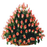 Send Peach Flowers to India Same Day