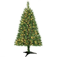 Christmas Gifts to India