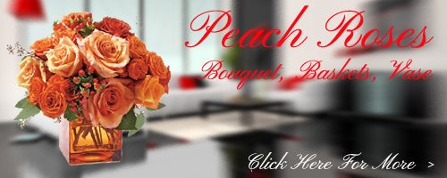 Peach Roses to Kolhapur